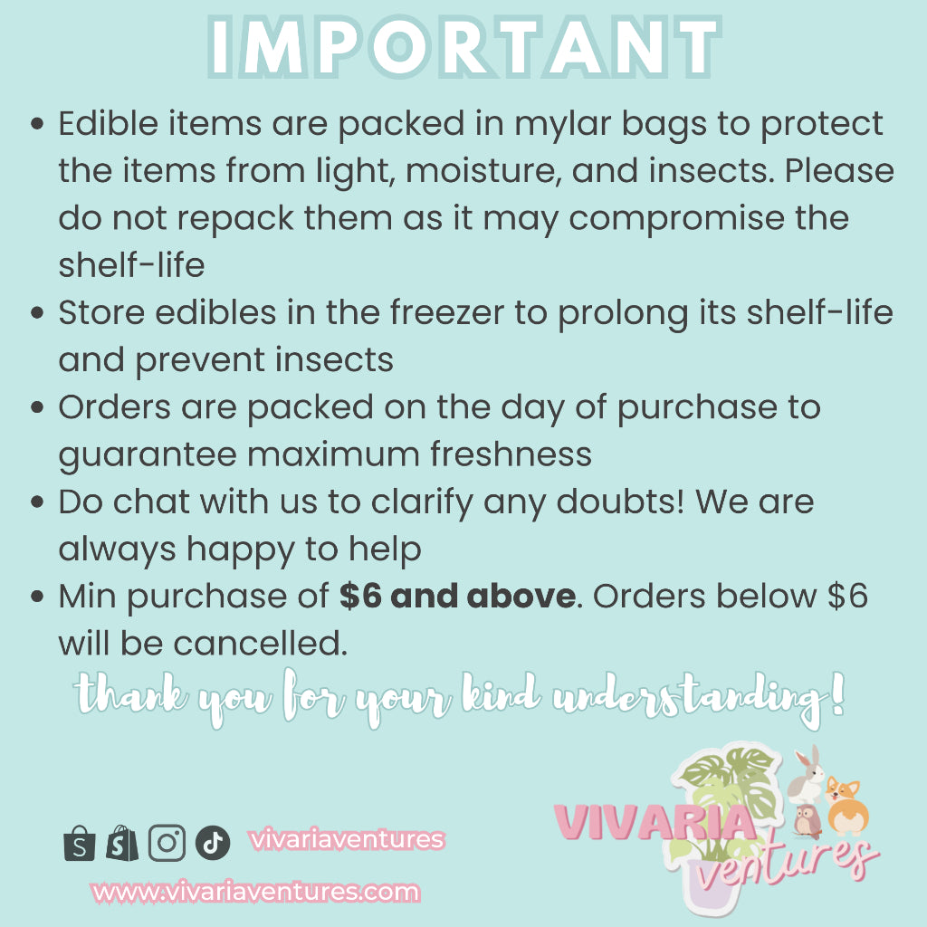 (SG) Wooden Hamster Hideout & Ladder