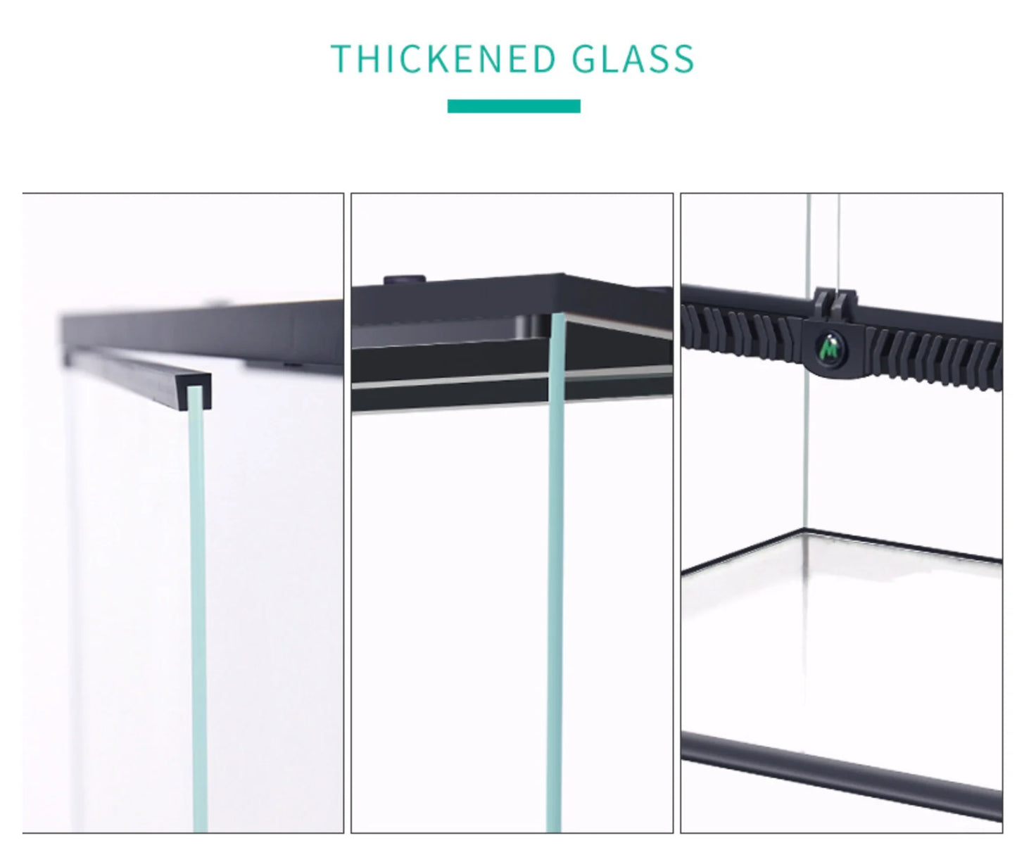 MUIS Crystal Clear Glass Vivarium [PREORDER]