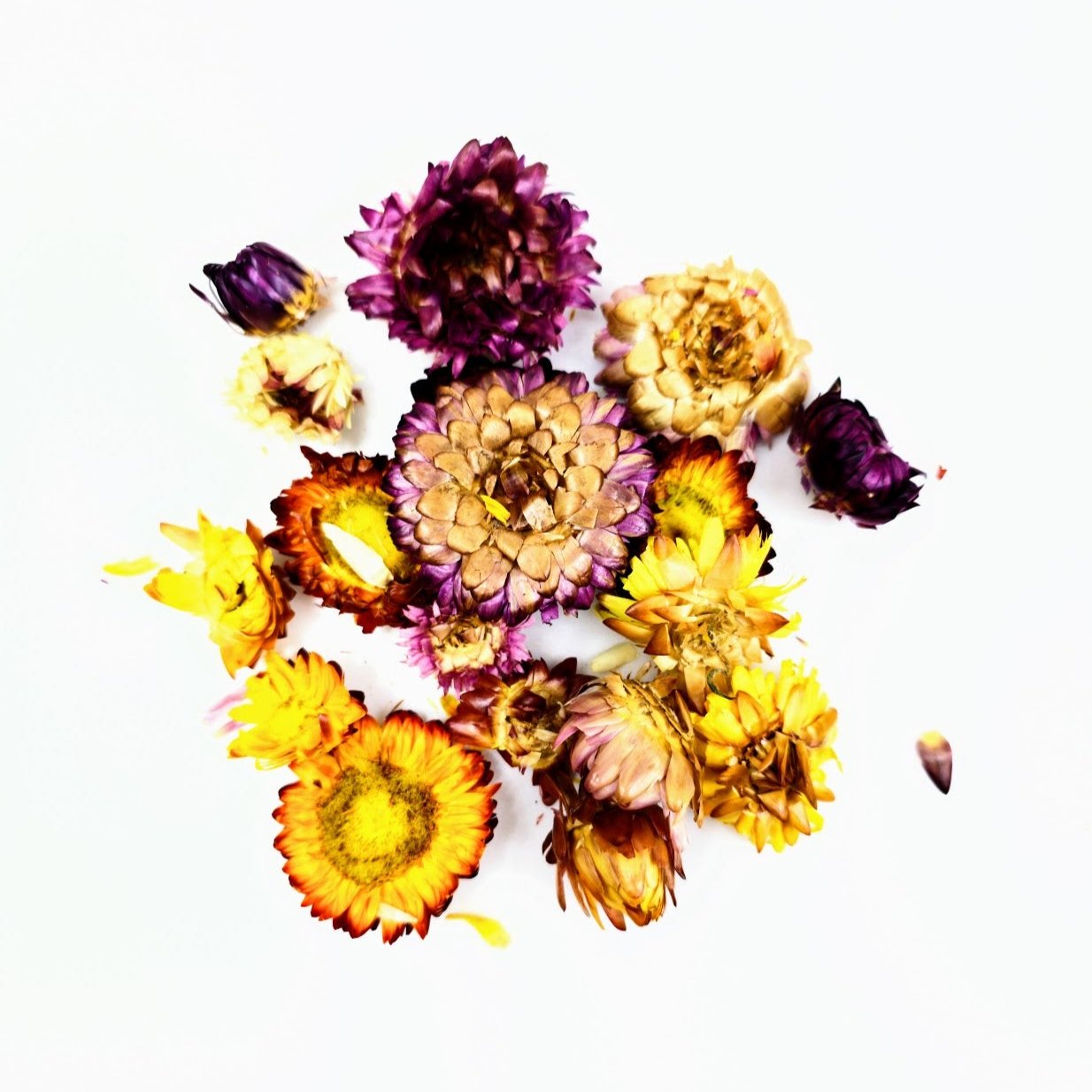 Dried Chrysanthemum