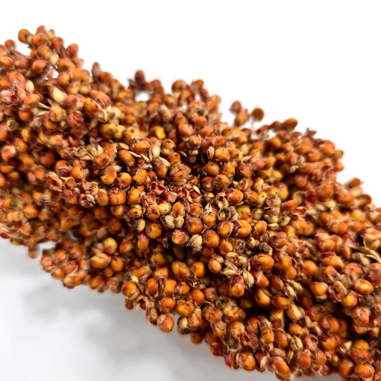 (SG) Cheapest Fresh Red Sorghum Spray