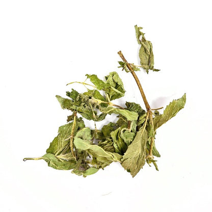 (SG) Dried Fragrant Mint Leaves