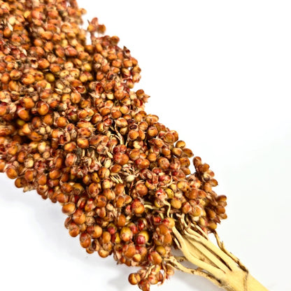 (SG) Cheapest Fresh Red Sorghum Spray