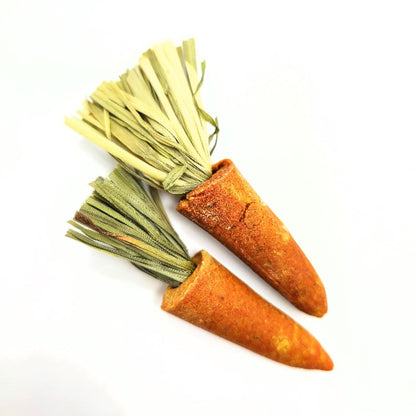 (SG) Mini Carrot Chew Toy