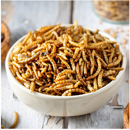 (SG) Gutloaded Dried Mealworms