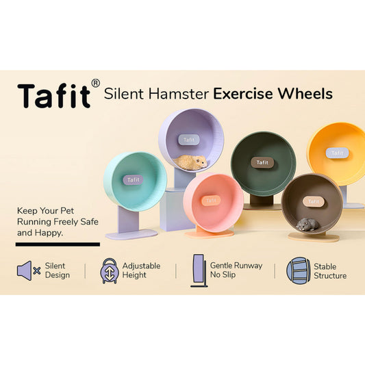 (SG) [LIMITED STOCKS] Tafit Super Silent Colour Contrast Running Wheel