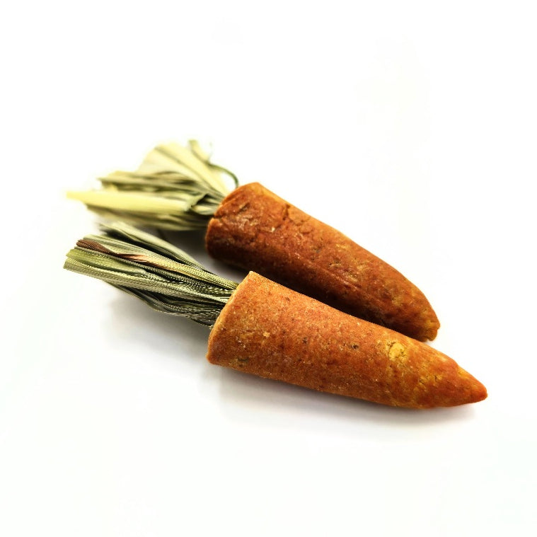 (SG) Mini Carrot Chew Toy