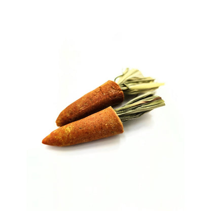 (SG) Mini Carrot Chew Toy